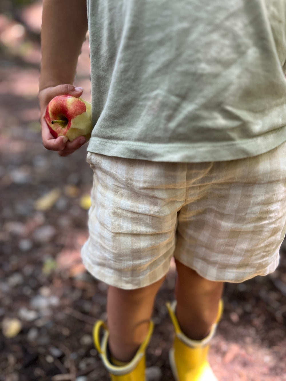 The Pebble Shorts