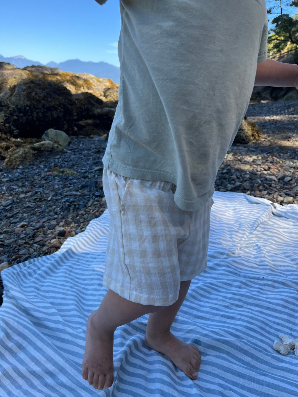 The Pebble Shorts